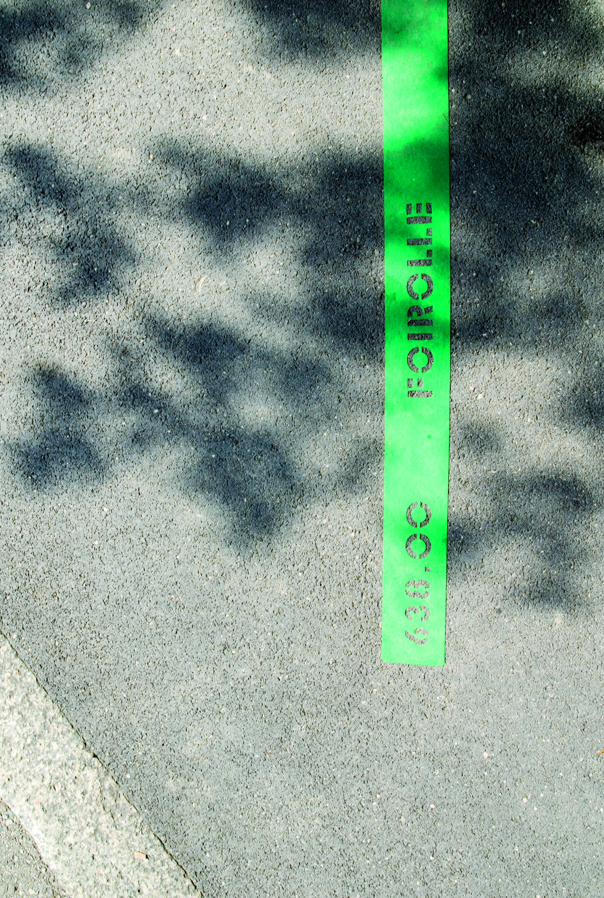 1.1 Topographies végétales ©L.Baud